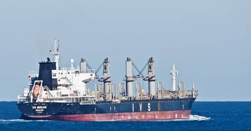 IVS MERLION Bulk Carrier IMO 9620126 photo 7