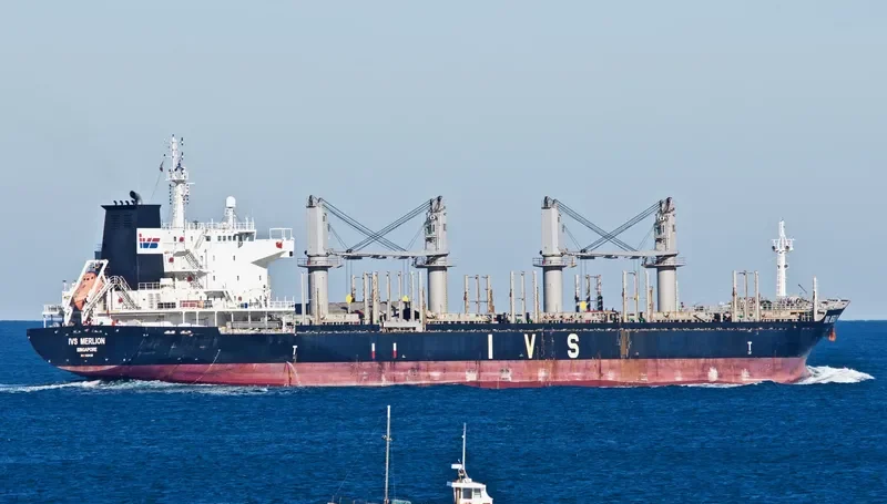 IVS MERLION Bulk Carrier IMO 9620126 photo 8