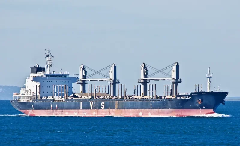 IVS MERLION Bulk Carrier IMO 9620126 photo 10