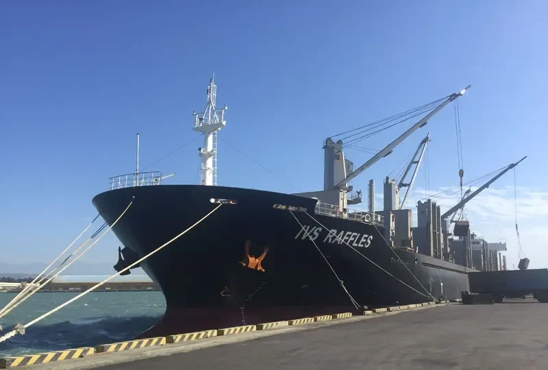 IVS RAFFLES Bulk Carrier IMO 9620138