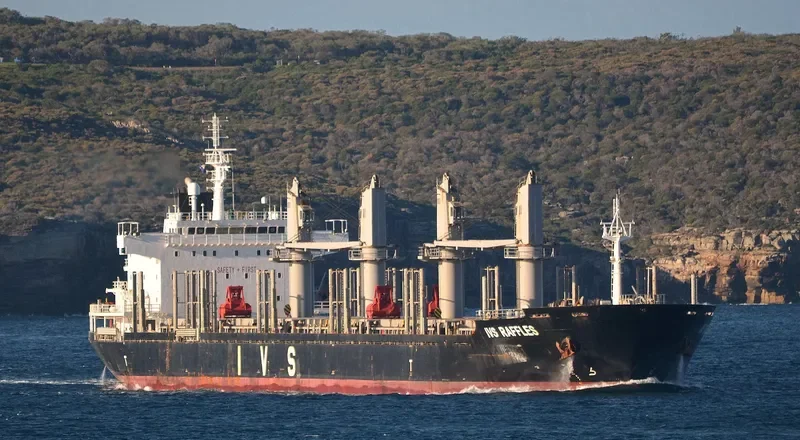 IVS RAFFLES Bulk Carrier IMO 9620138 photo 3