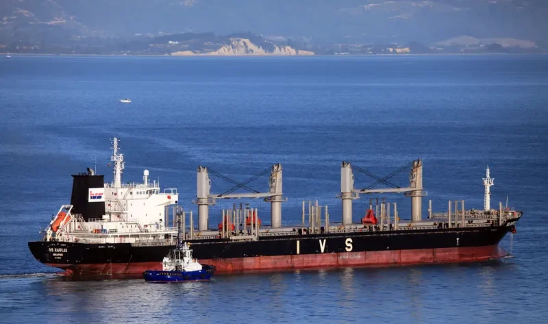 IVS RAFFLES Bulk Carrier IMO 9620138 photo 4