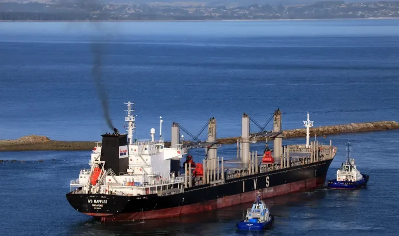 IVS RAFFLES Bulk Carrier IMO 9620138 photo 5