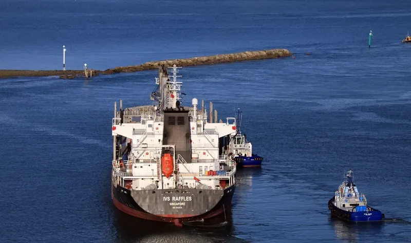IVS RAFFLES Bulk Carrier IMO 9620138 photo 6