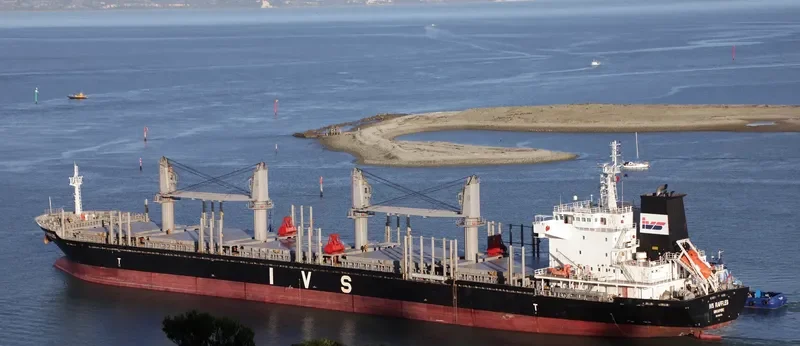 IVS RAFFLES Bulk Carrier IMO 9620138 photo 7