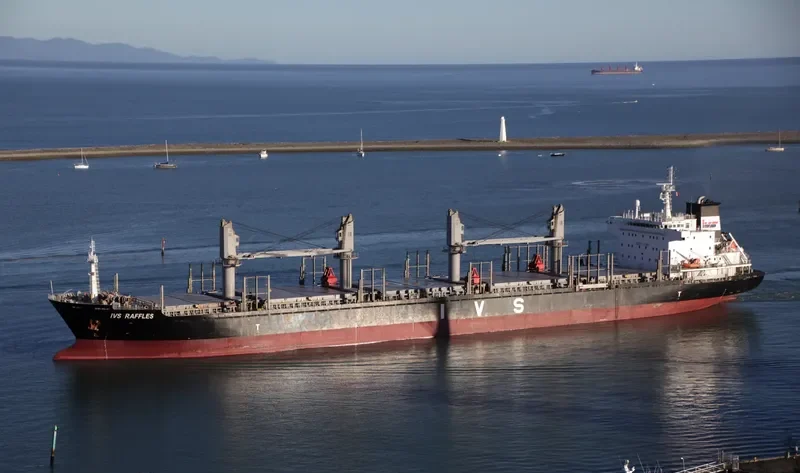 IVS RAFFLES Bulk Carrier IMO 9620138 photo 8