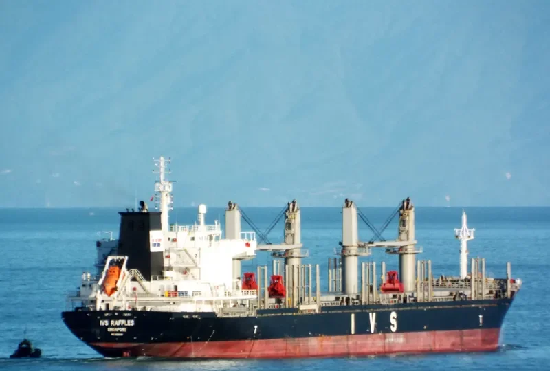 IVS RAFFLES Bulk Carrier IMO 9620138 photo 9