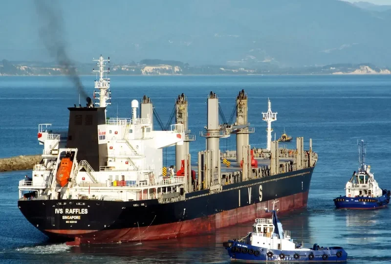 IVS RAFFLES Bulk Carrier IMO 9620138 photo 10