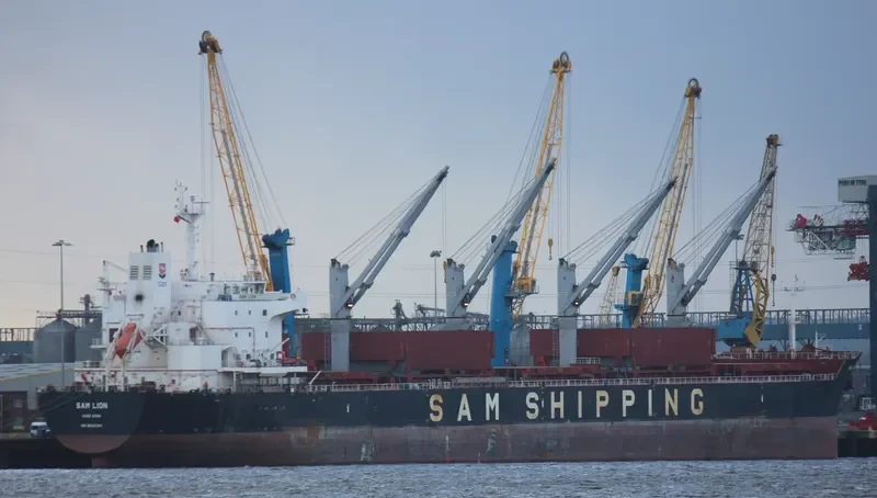 XIN MING ZHOU 27 Bulk Carrier IMO 9620164