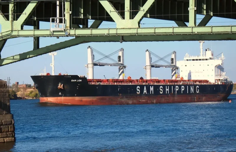 XIN MING ZHOU 27 Bulk Carrier IMO 9620164 photo 4