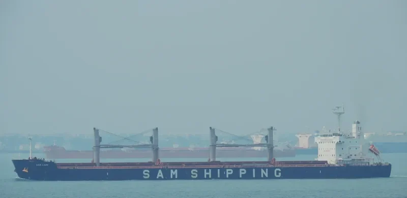 XIN MING ZHOU 27 Bulk Carrier IMO 9620164 photo 7