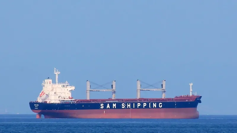 XIN MING ZHOU 27 Bulk Carrier IMO 9620164 photo 8