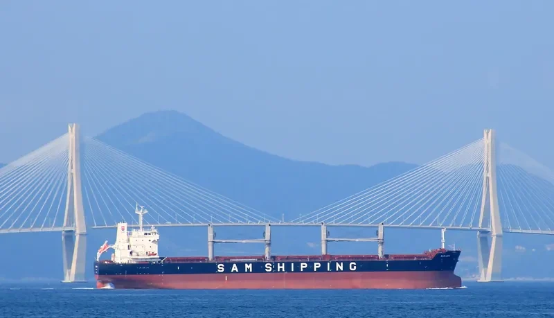 XIN MING ZHOU 27 Bulk Carrier IMO 9620164 photo 9