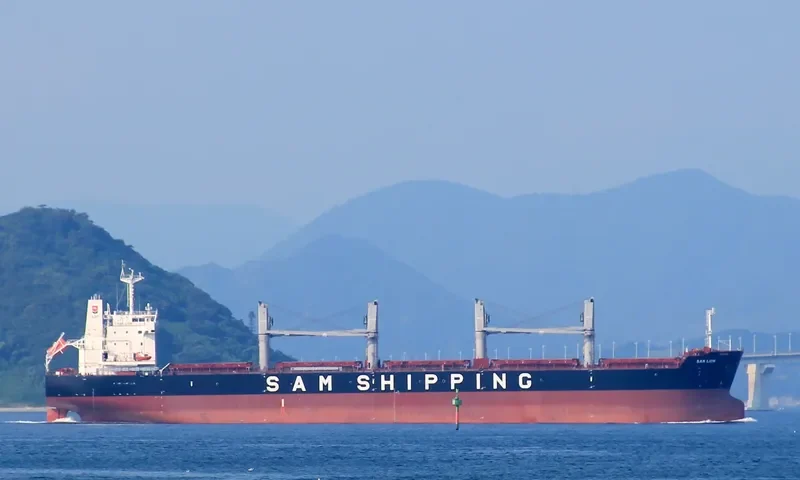 XIN MING ZHOU 27 Bulk Carrier IMO 9620164 photo 10