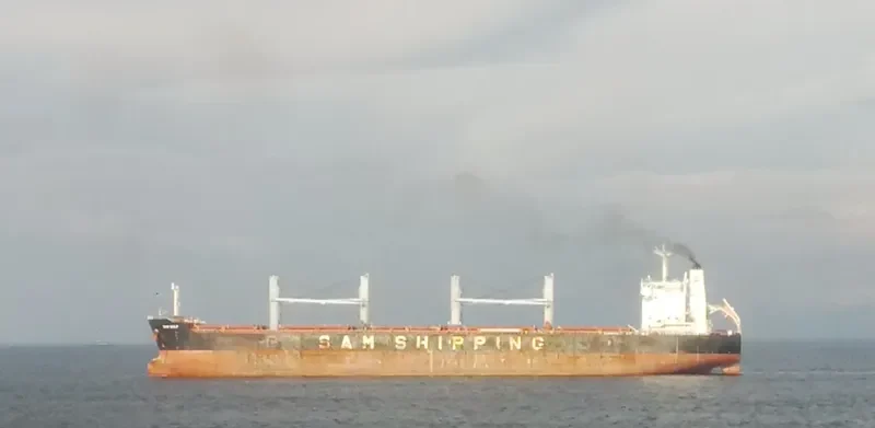 HANG HUAN 66 Bulk Carrier IMO 9620176 photo 3