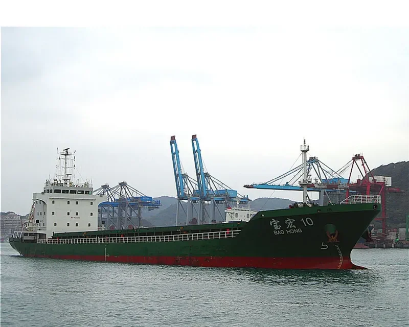 BAO HONG 10 General Cargo IMO 9620255 photo 4