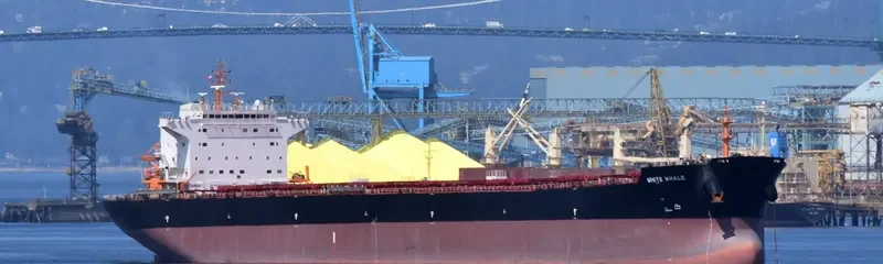 WHITE WHALE Bulk Carrier IMO 9620310