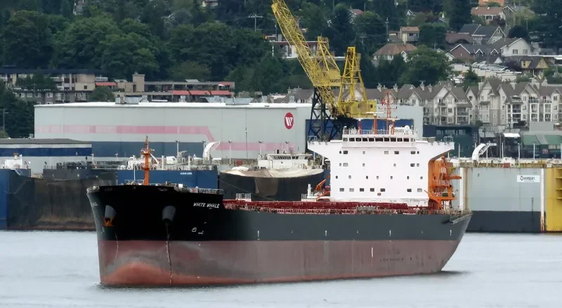 WHITE WHALE Bulk Carrier IMO 9620310 photo 2