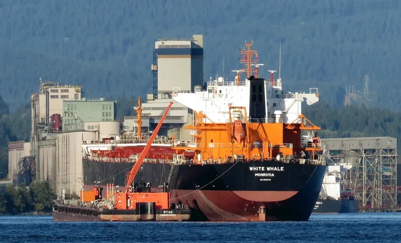 WHITE WHALE Bulk Carrier IMO 9620310 photo 3