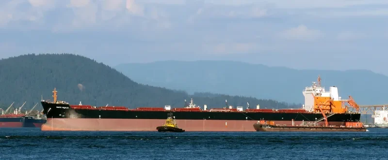 WHITE WHALE Bulk Carrier IMO 9620310 photo 4