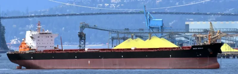 WHITE WHALE Bulk Carrier IMO 9620310 photo 5