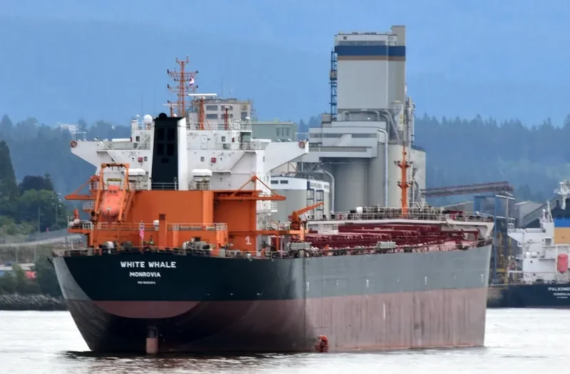 WHITE WHALE Bulk Carrier IMO 9620310 photo 6