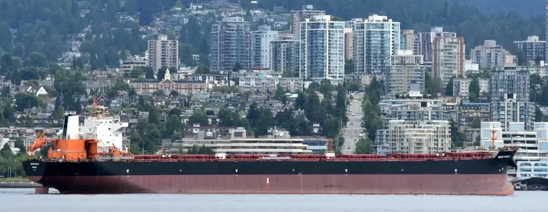 WHITE WHALE Bulk Carrier IMO 9620310 photo 7