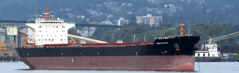 WHITE WHALE Bulk Carrier IMO 9620310 photo 8