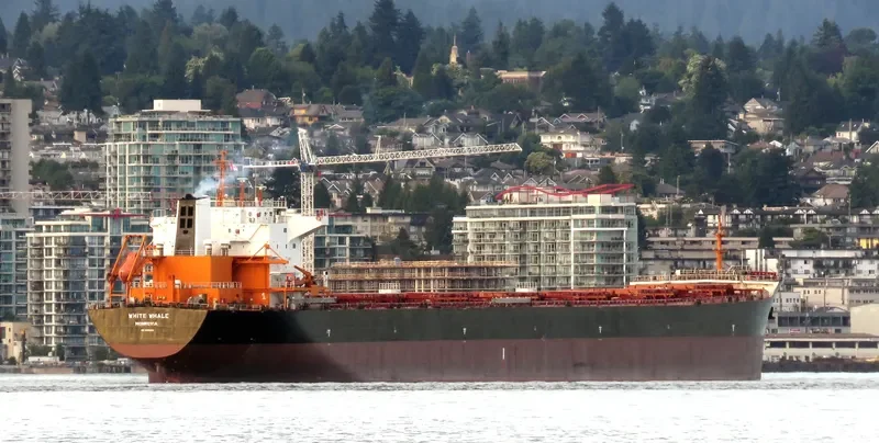WHITE WHALE Bulk Carrier IMO 9620310 photo 9