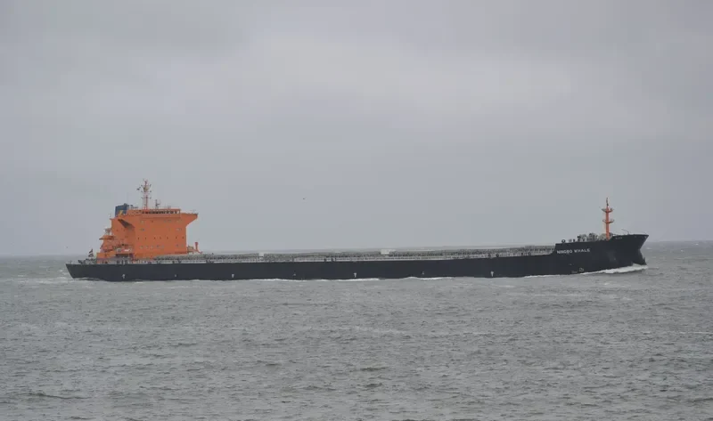WHITE WHALE Bulk Carrier IMO 9620310 photo 10