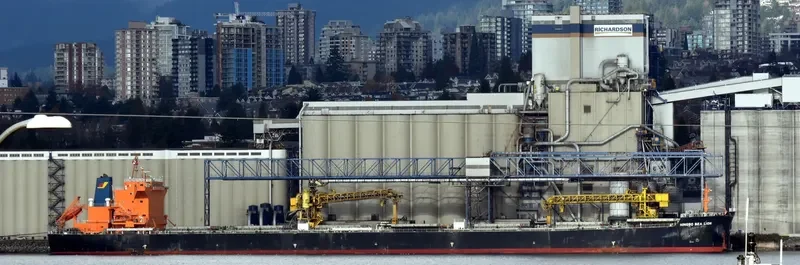 ZHE NENG 7 Bulk Carrier IMO 9620322