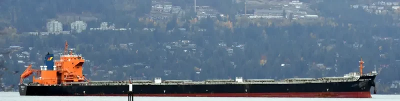 ZHE NENG 7 Bulk Carrier IMO 9620322 photo 2