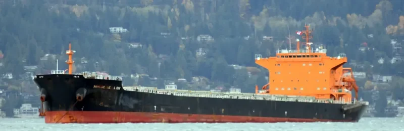 ZHE NENG 7 Bulk Carrier IMO 9620322 photo 3
