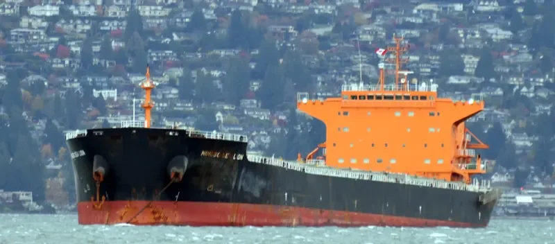 ZHE NENG 7 Bulk Carrier IMO 9620322 photo 4