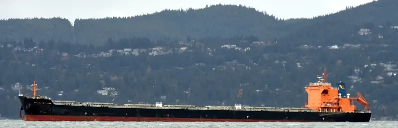 ZHE NENG 7 Bulk Carrier IMO 9620322 photo 5