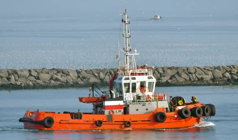 TORTEL General Cargo IMO 9620372 photo 2