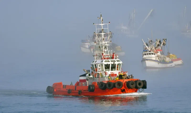 TORTEL General Cargo IMO 9620372 photo 3