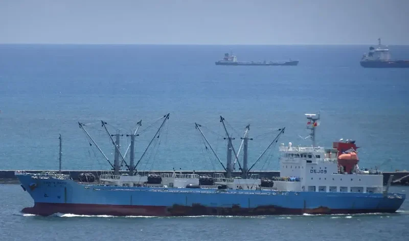 GENTA MARU General Cargo IMO 9620384