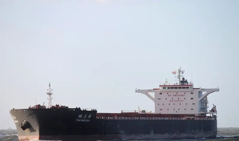 TAO HUA HAI Bulk Carrier IMO 9620504