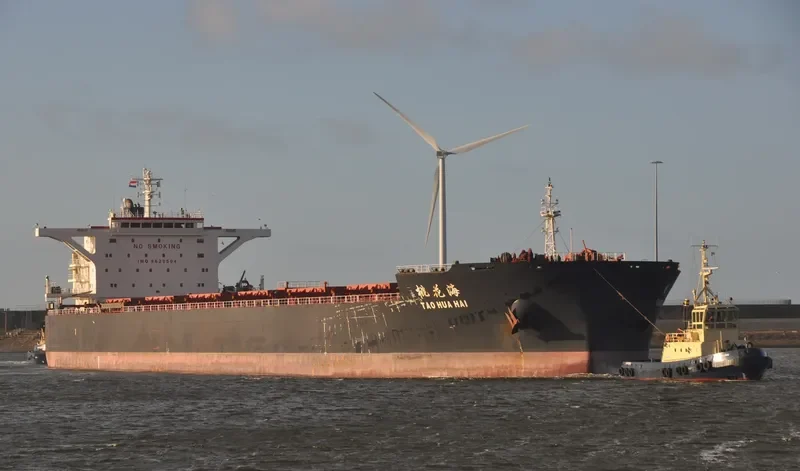 TAO HUA HAI Bulk Carrier IMO 9620504 photo 6
