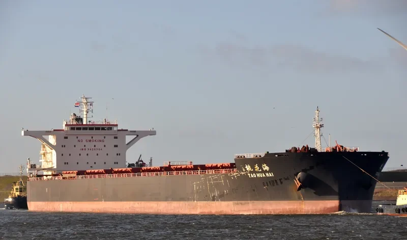 TAO HUA HAI Bulk Carrier IMO 9620504 photo 9