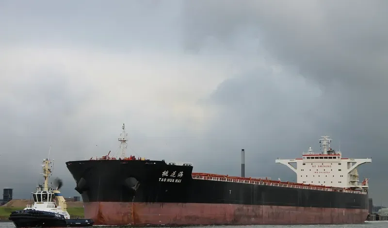 TAO HUA HAI Bulk Carrier IMO 9620504 photo 10