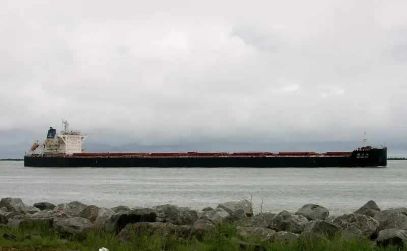MEI HUA HAI Bulk Carrier IMO 9620530 photo 2