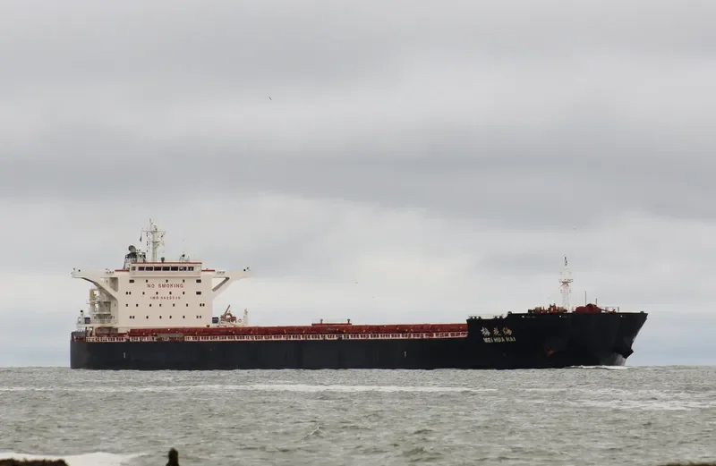 MEI HUA HAI Bulk Carrier IMO 9620530 photo 3