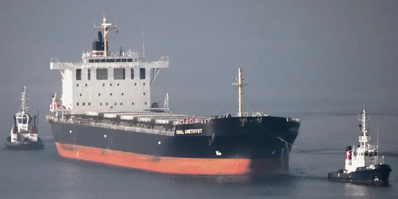 AEOLIAN BREEZE Bulk Carrier IMO 9620621 photo 7