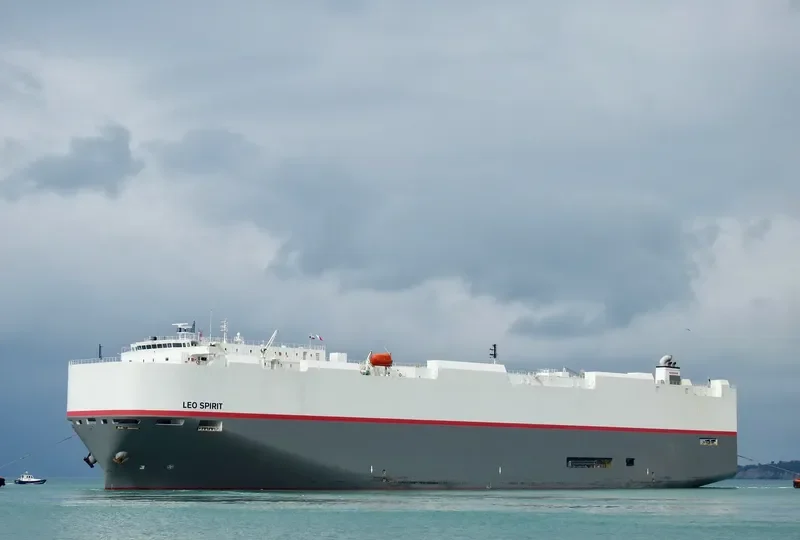 LEO SPIRIT General Cargo IMO 9620695