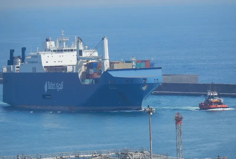 BAHRI ABHA Ro-Ro IMO 9620944 photo 5