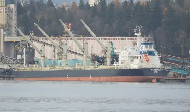 ATLANTIS TRADE Bulk Carrier IMO 9620994 photo 2