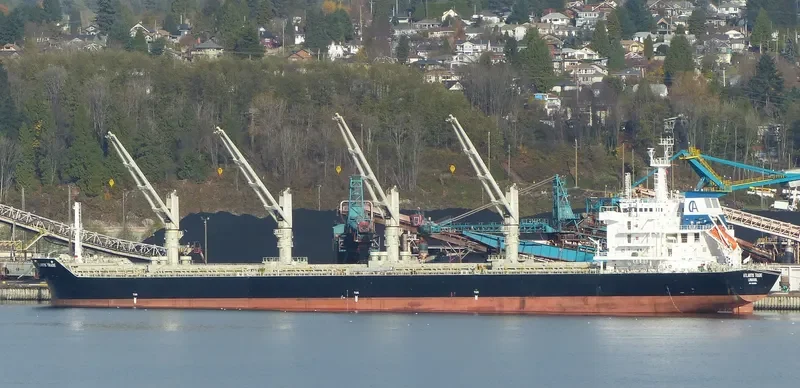 ATLANTIS TRADE Bulk Carrier IMO 9620994 photo 3