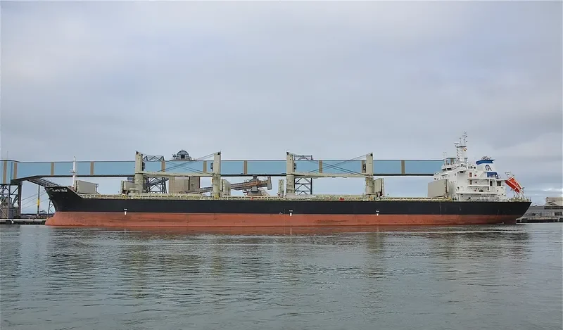 ATLANTIS TRADE Bulk Carrier IMO 9620994 photo 8
